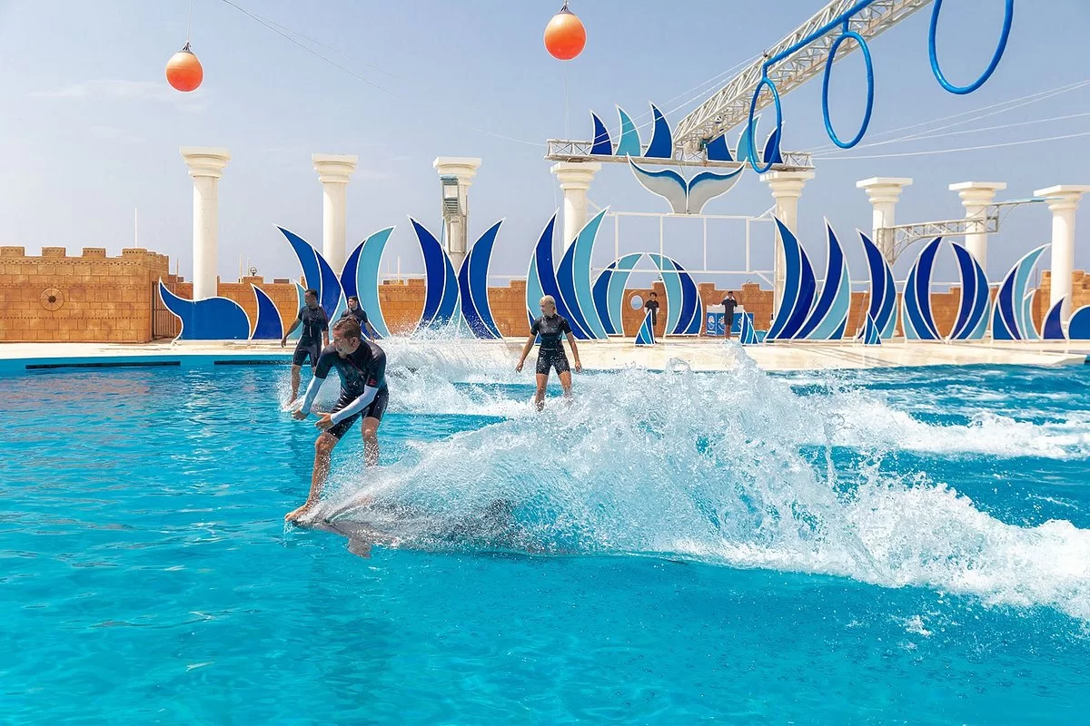 Swimming With Dolphins in Alanya: An Unforgettable Adventure